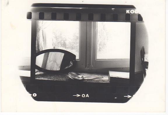 Portfolio No. 12 - Wombat - The Photography and Art Box