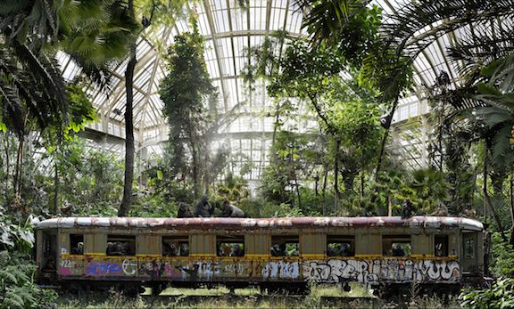 Evolution, 2009 - Wombat - The Photography and Art Box