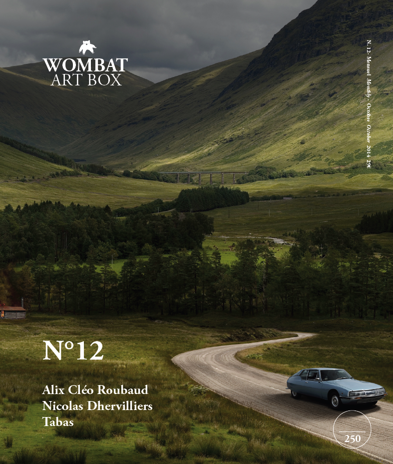 No. 12 - Wombat - The Photography and Art Box