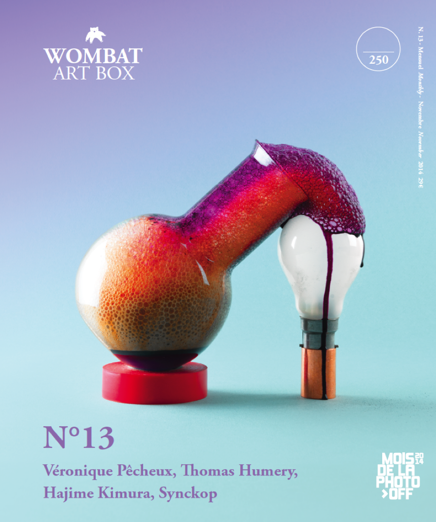 No. 13 - Wombat - The Photography and Art Box